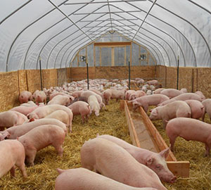 Складские помещения 2