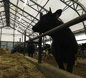 Складские помещения 2