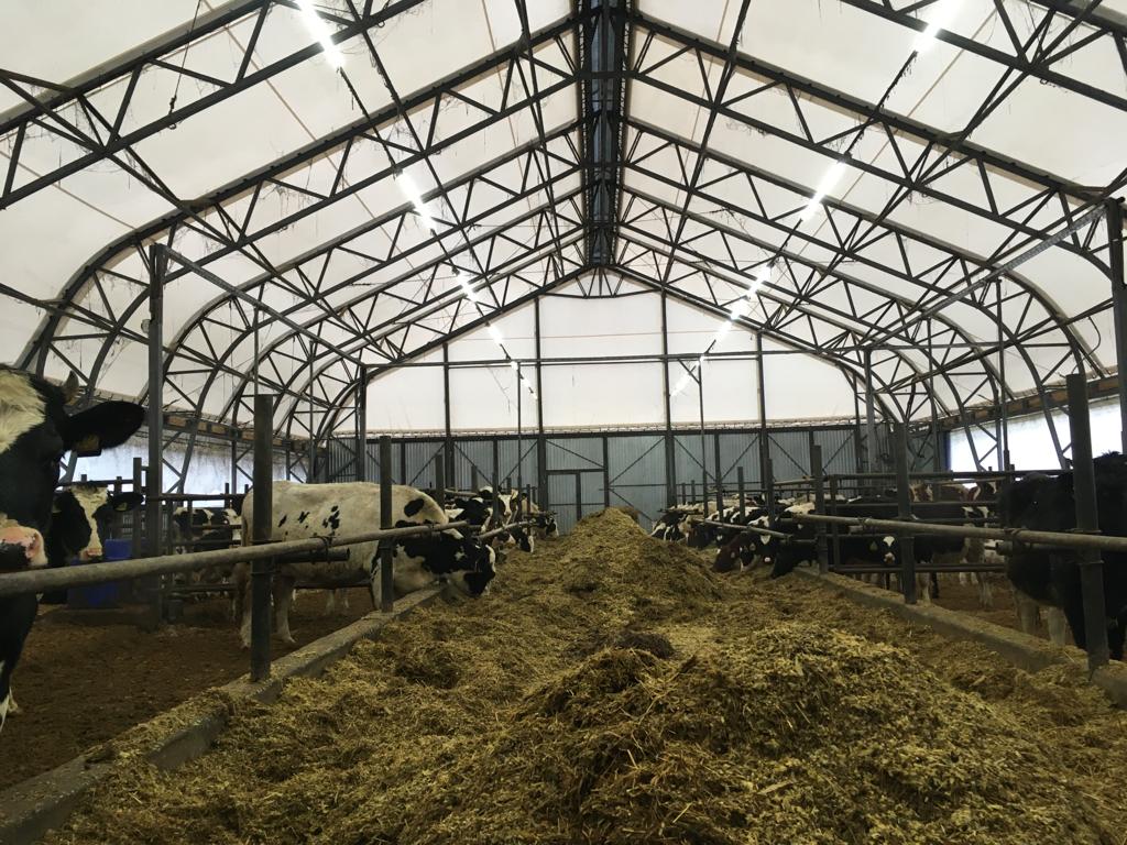 Тентовые ангары