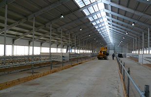 Овчарни (для овец)