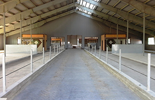 Свинарники