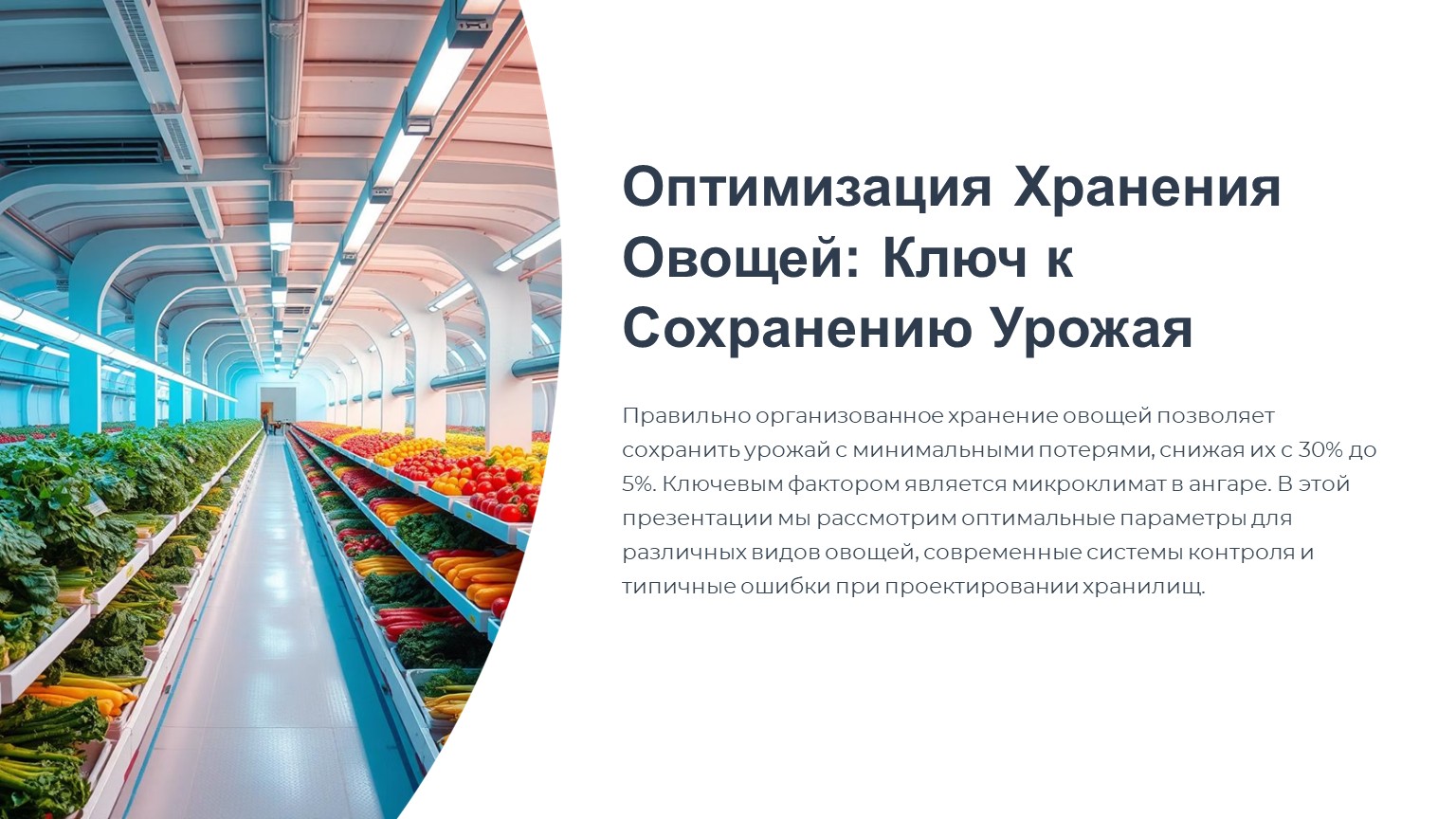 картинка новости 1